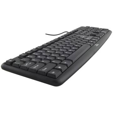 Tastatura ESPERANZA ergonomica TK102 PS/2, 107 taste, Negru