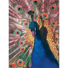 Mousepad Gembird PAD   MOUSE MP-PICTURE/400