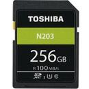 Toshiba SD Exceria R100 N203 256GB