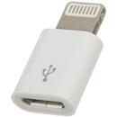 Apple Adaptor MD820ZM/A Lightning - Micro USB
