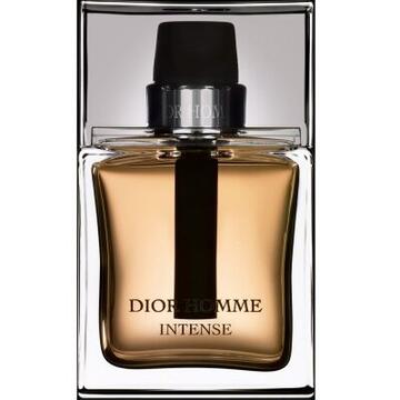 Christian Dior Dior Homme Intense Eau de Parfum 100ml