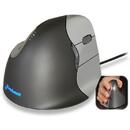 Evoluent VerticalMouse D Large - vertical mouse - USB