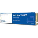 Western Digital BLUE 250GB NVME WDS250G3B0C