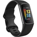 Fitbit Charge 5 Stainless steel graphite