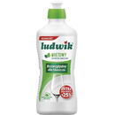 Ludwik Dishwashing Liquid Mint 900 g