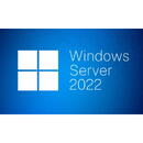 Microsoft SW OEM WIN SVR 2022 CAL/ENG 1PK 1CLT DEV R18-06412 MS