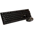Spacer KIT wireless SPACER, tastatura wireless + mouse wireless, black, "SPDS-1100"   (include TV 0.8lei)