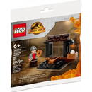 LEGO Jurassic World Piata de dinozauri, 30390, 34 piese