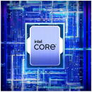 Intel Core  i5-13600KF LGA1700  Tray