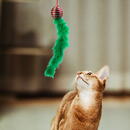 Generic Jucărie pentru pisici - culori de Crăciun - 2 tipuri