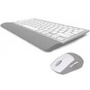 DeLux Kit tastatura si mouse wireless K33000+M520GX Gri