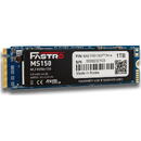 Mega Fastro 1TB  M.2 MS150 Series PCI-Express NVMe intern