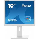 Iiyama ProLite 19" B1980D-W5 5:4  VGA+DVI Lift Alb