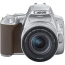 Canon EOS 250D, 24.1 MP, Wi-Fi, 4K, Negru