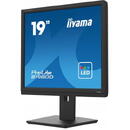 Iiyama IIYAMA 48.0cm (19")   B1980D-B5     5:4  VGA+DVI Lift black retail