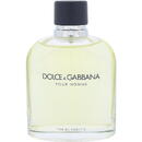 Dolce & Gabbana Pour Homme, Barbati, 200 ml