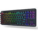 Fnatic miniSTREAK TKL Gaming Tastatur, Kailh Speed Silver, RGB, schwarz - US Layout