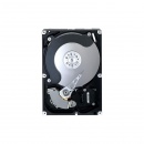 1TB 7.2K RPM SATA 6Gbps 3.5in Hot-plug Hard Drive,13G,CusKit
