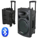 Ibiza Boxa Portabila Ibiza, 200W, 8 inch/20cm, USB/MP3/Bluetooth