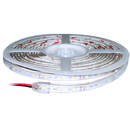 BANDA LED SMD3528 60LED/M 6000K IP65 5M