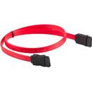 LANBERG Lanberg cable SATA DATA III (6GB/S) F/F 30CM RED