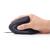 Mouse Gembird MUS-ERGO-01, USB, Black