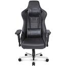 AKRacing AKRacing Master Series Pro Deluxe, gaming chair (black)