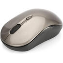 EDNET ednet Wireless Notebook Mouse 24 GHz