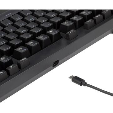 Tastatura Gaming mecanica cu fir si wireless Redragon Vishnu iluminare RGB neagra
