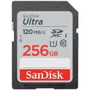 SanDisk  SDSDUN4-256G-GN6IN, Memory card