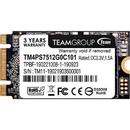 Team Group MS30 M.2 512GB SATA3 2242