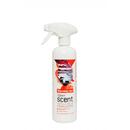 Odorizant camera, cu pulverizator, 500 ml, Clinex Tasmanian Charm