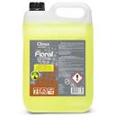 CLINEX Detergent lichid pentru curatarea pardoselilor, 5 litri, Clinex Floral Citro