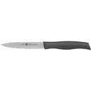 ZWILLING ZWILLING 38720-100-0 kitchen knife Domestic knife