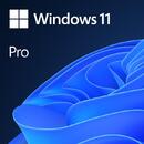 Microsoft OEM Win Pro 11 for Workstation ENG x64