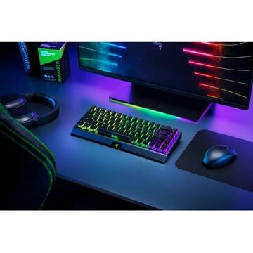 Tastatura Razer BlackWidow V3 Mini HypS PhEd Green RGB LED USB Black