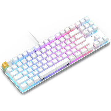 Tastatura Glorious PC Gaming GMMK TKL White Ice Edition - Gateron Brown US Layout