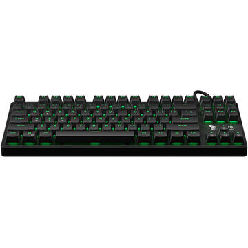 Tastatura Savio Mechanical Gaming Keyboard SAVIO Tempest RX TKL Outemu BROWN USB QWERTY English Black