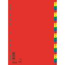 DONAU Index plastic color, numeric 1-31, extra wide, A4+, 120 microni, DONAU
