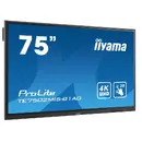 Iiyama ProLite TE7502MIS-B1AG 75" LED-backlit LCD display - 4K