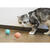 Jucarii animale Mobile, running, interactive toy for very small dogs, small dogs and cats Doggy Village MT7111B