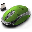 Extreme XM105G USB Wireless  VERDE