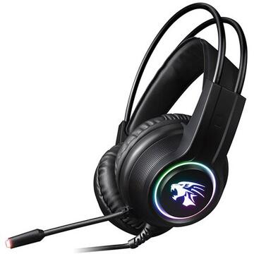 Casti CASTI HI-FI STEREO MICROFON GAMING RGB VARR