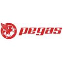 Pegas CUVETE PEGAS H831CW 22.2X30X27MM, ARGINT