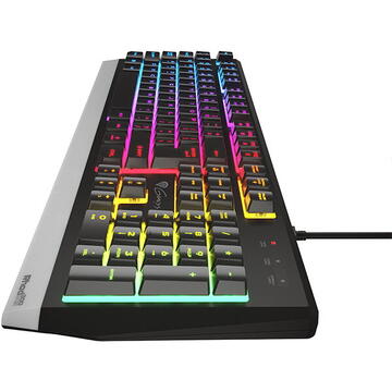 Tastatura Natec Genesis Keyboard Rhod 300RGB US membrana, iluminare RGB, USB, negru