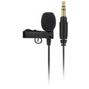 Rode RODE LAVALIER GO microphone Black, White Clip-on microphone