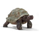Schleich Schleich Wild Life Giant Tortoise - 14824