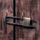 MASTER LOCK Lacat din alama solida MASTER LOCK 1950EURD, corp 50mm, clasa securitate 5/10, cheie