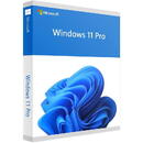 Microsoft SW RET WIN 11 PRO FPP 64B/ENG USB HAV-00163 MS
