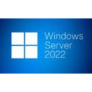 Microsoft SW OEM WIN SVR 2022 CAL/ENG 1PK 5CLT DEV R18-06430 MS